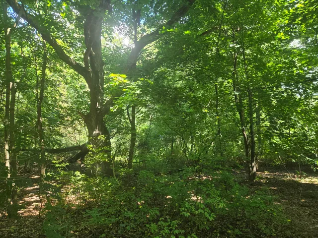 $49,900 | Vl Whitehall Road, Whitehall, MI 49461