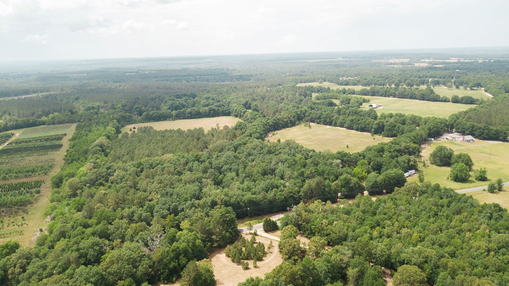 187 Thistle Road Springfield, SC 29146 - Photo 10 of 18