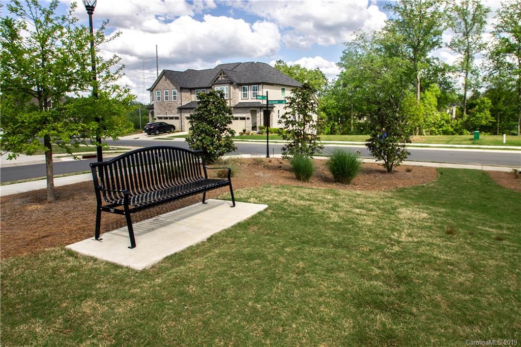 827 Ayrshire Avenue Fort Mill, SC 29708 - Photo 45 of 47 a garden with trees in the background