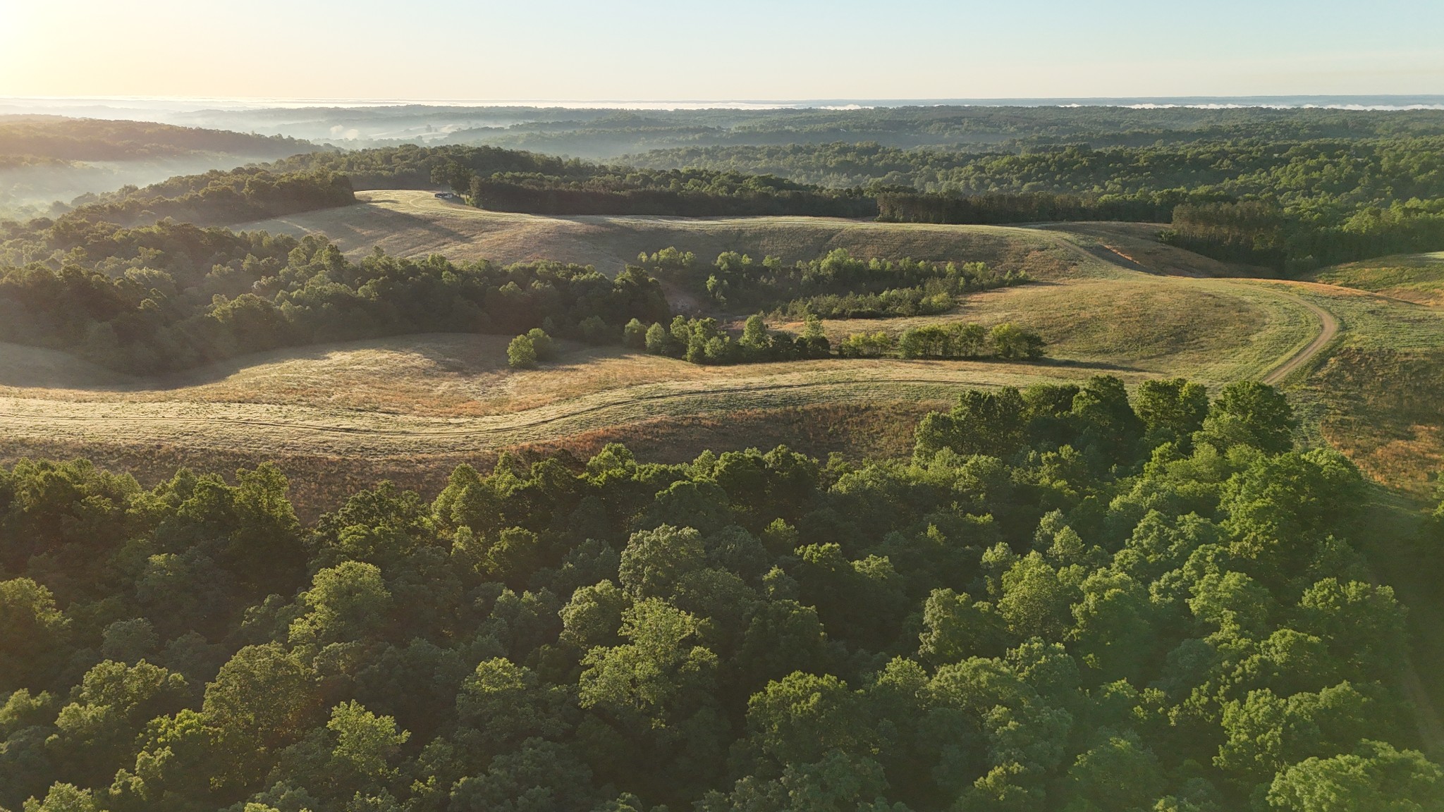 0 Seven 7 Mile Ridge Road Indian Mound, TN 37079 - Photo 22 of 27