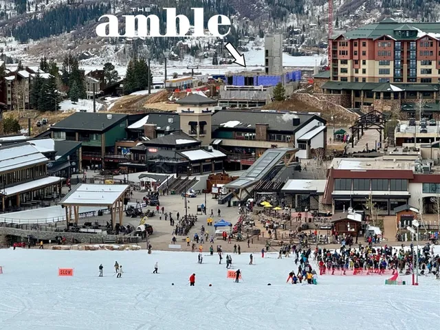 a picture of flowers