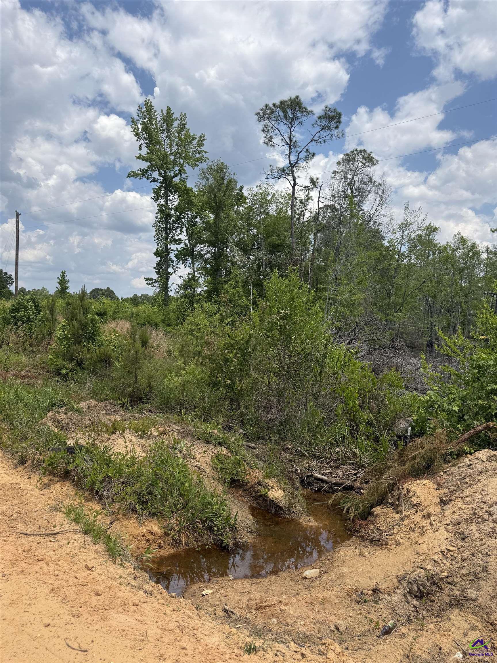 JD Williams Road Cadwell, GA 31009 - Photo 5 of 6