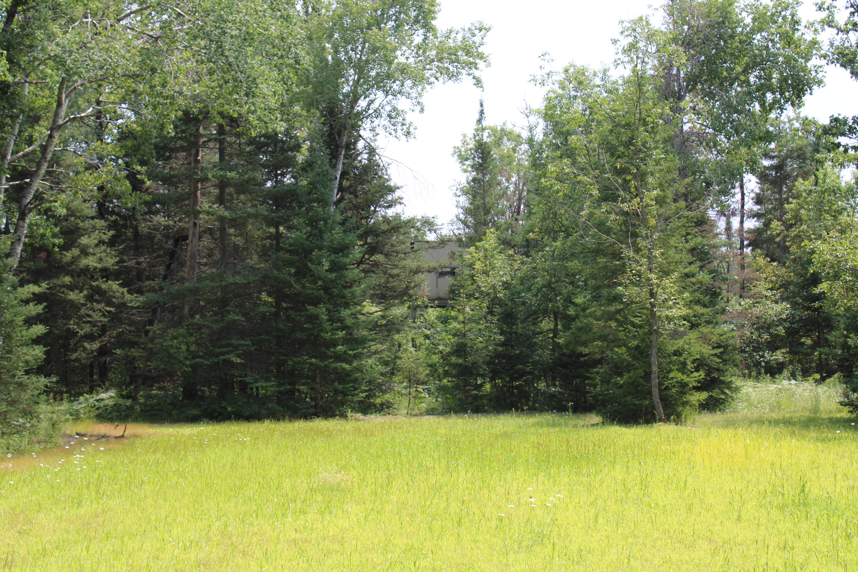 2503 Sharboneau Road Lincoln, MI 48742 - Photo 12 of 32 IMG_2662