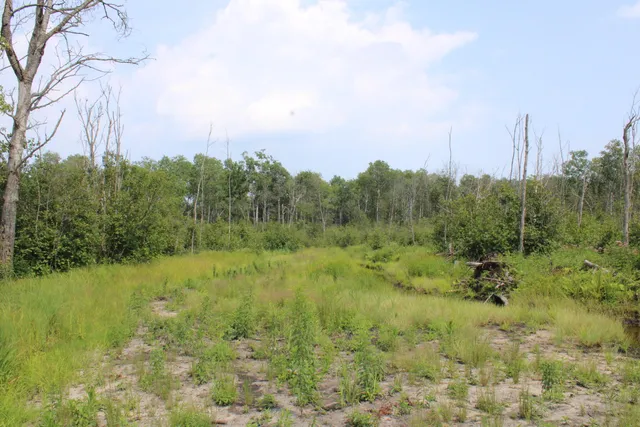 $170,000 | 2503 Sharboneau Road, Lincoln, MI 48742