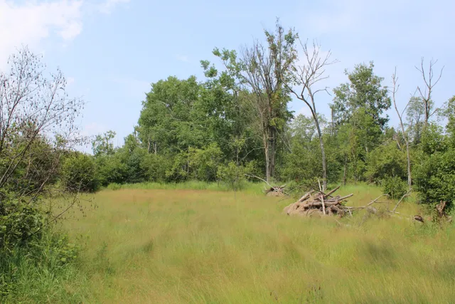 $170,000 | 2503 Sharboneau Road, Lincoln, MI 48742