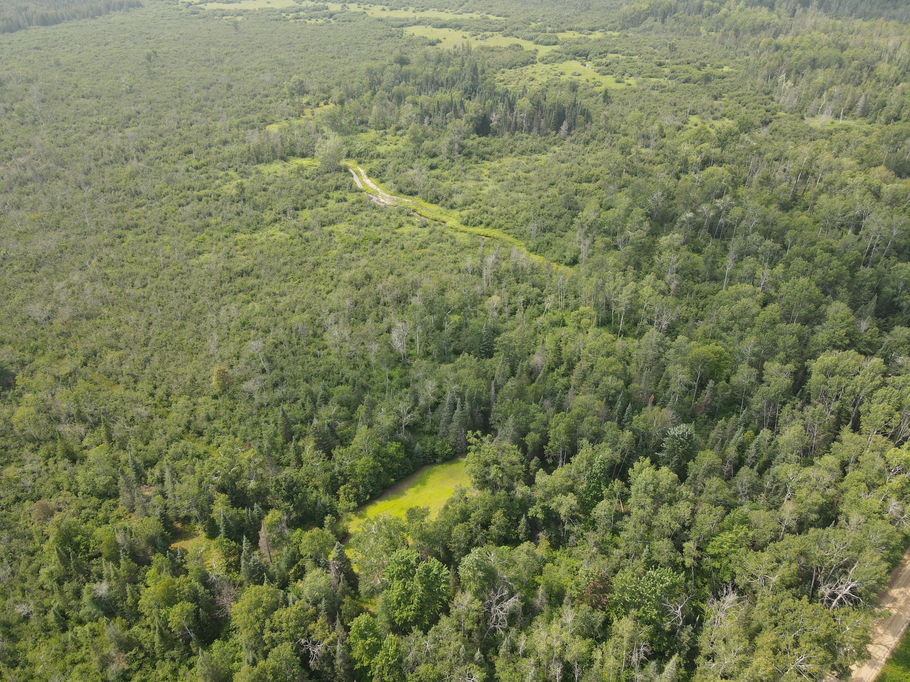 2503 Sharboneau Road Lincoln, MI 48742 - Photo 18 of 32 DJI_0795
