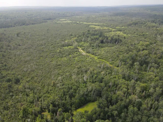 $170,000 | 2503 Sharboneau Road, Lincoln, MI 48742