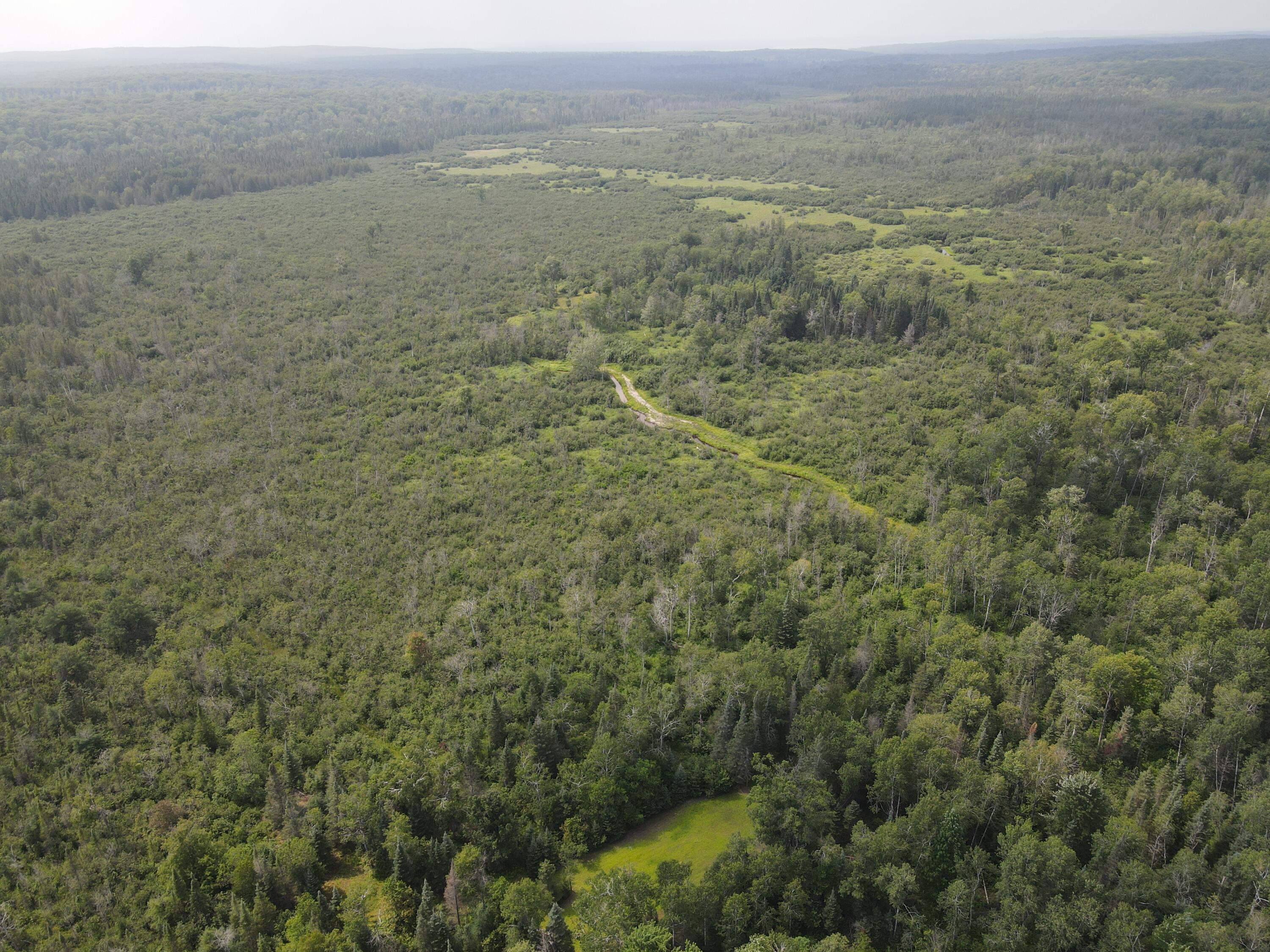 2503 Sharboneau Road Lincoln, MI 48742 - Photo 19 of 32 DJI_0796