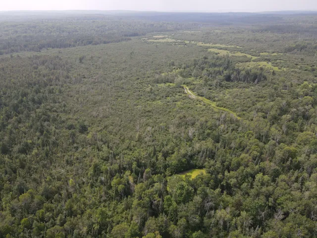 $170,000 | 2503 Sharboneau Road, Lincoln, MI 48742