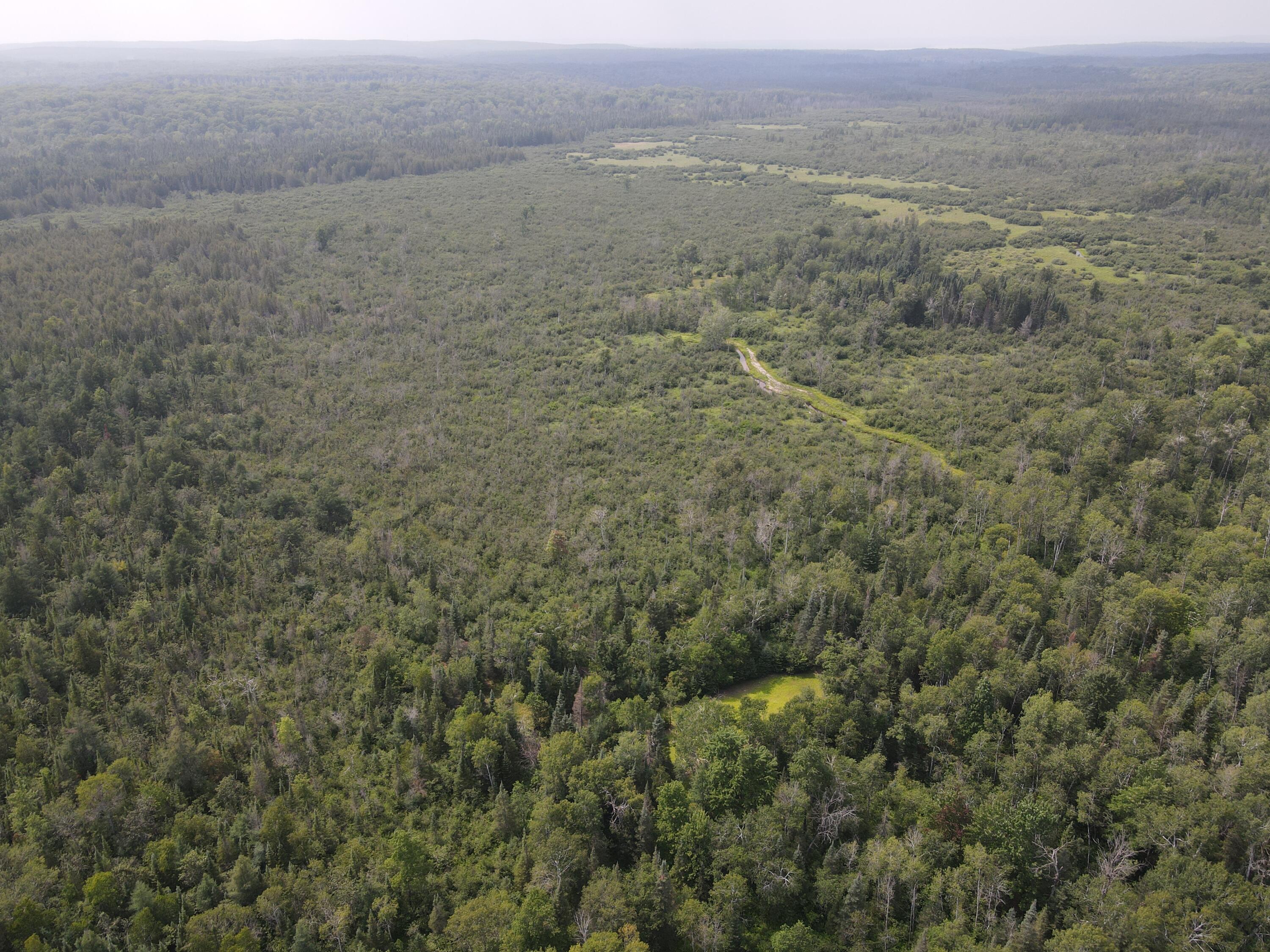 2503 Sharboneau Road Lincoln, MI 48742 - Photo 20 of 32 DJI_0797