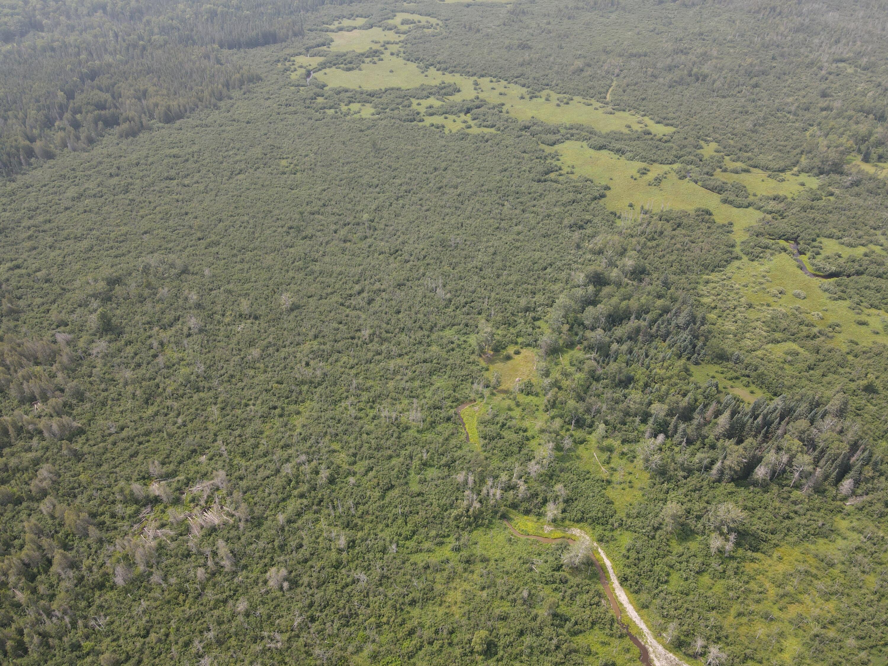 2503 Sharboneau Road Lincoln, MI 48742 - Photo 21 of 32 DJI_0802