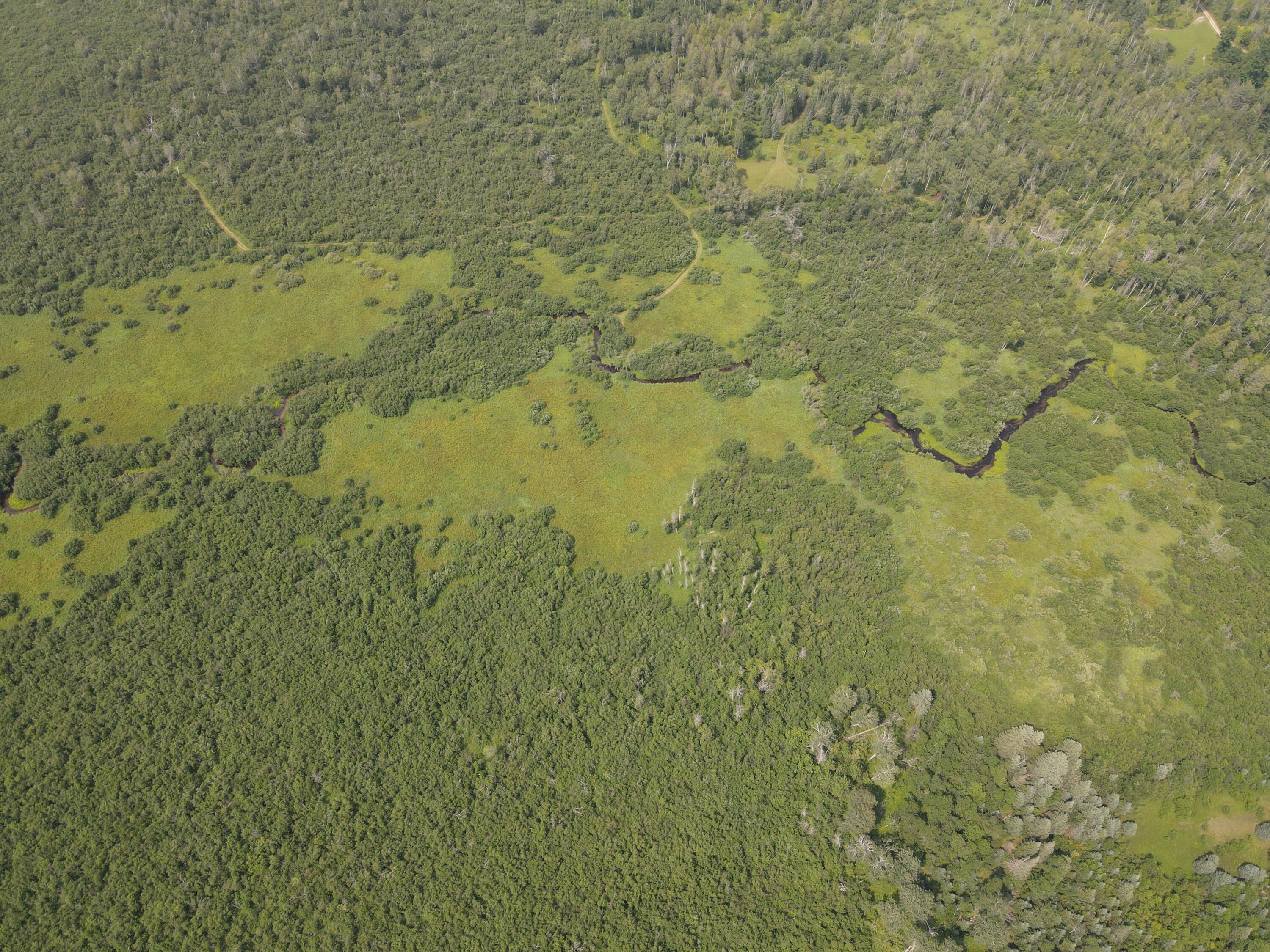 2503 Sharboneau Road Lincoln, MI 48742 - Photo 22 of 32 DJI_0803