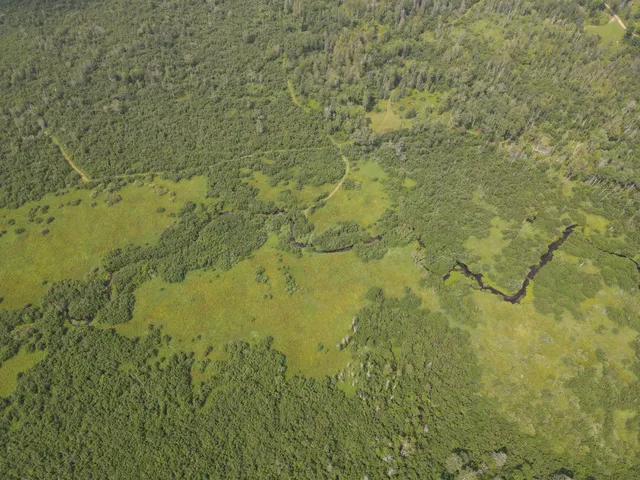 $170,000 | 2503 Sharboneau Road, Lincoln, MI 48742