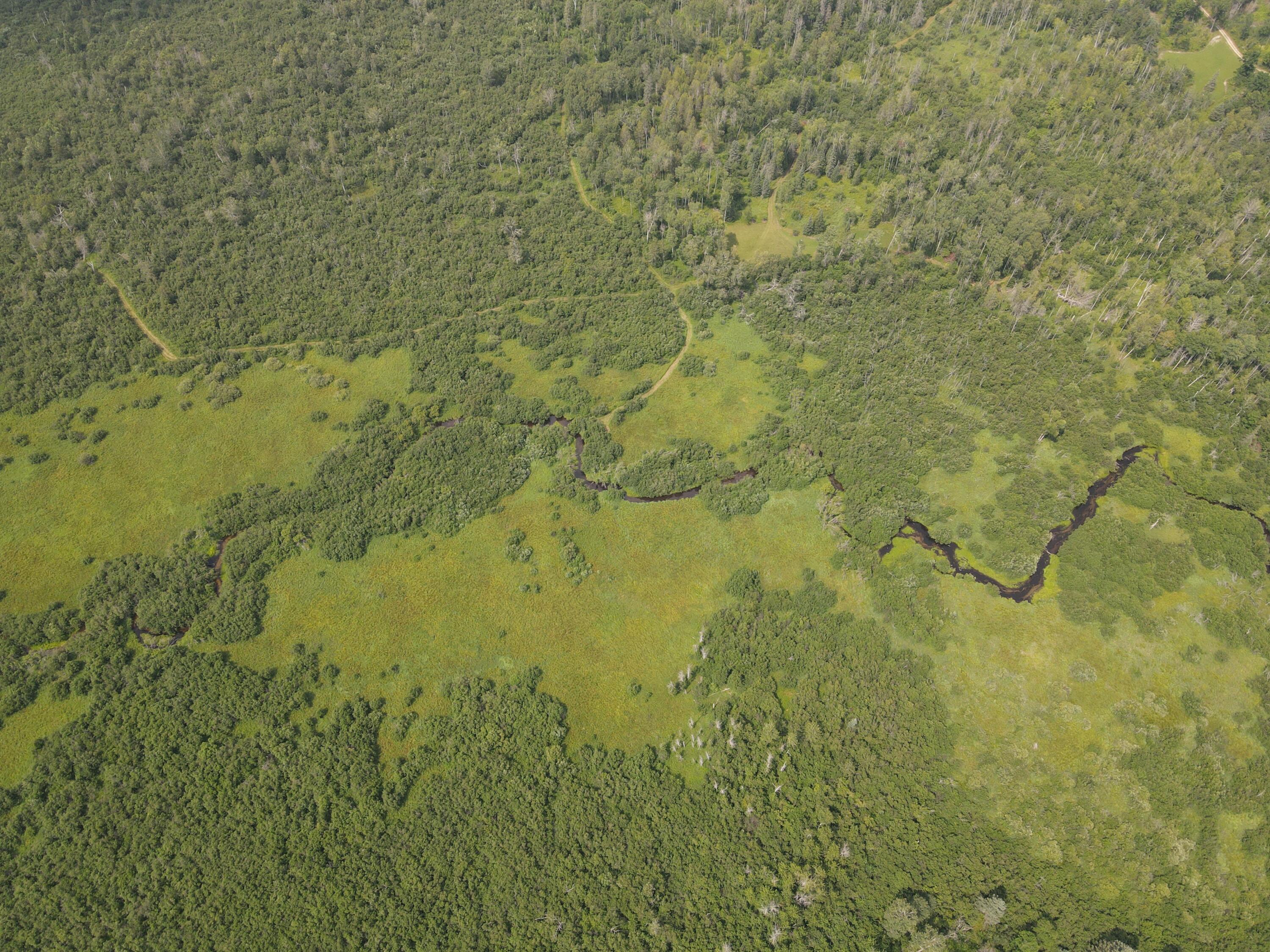 2503 Sharboneau Road Lincoln, MI 48742 - Photo 23 of 32 DJI_0804