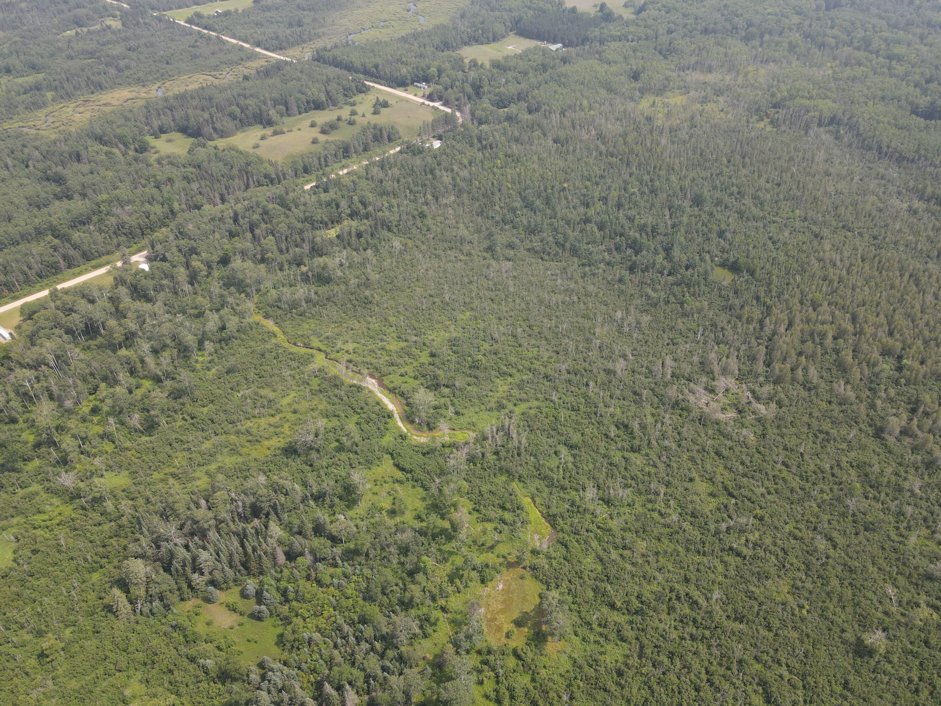 2503 Sharboneau Road Lincoln, MI 48742 - Photo 24 of 32 DJI_0806