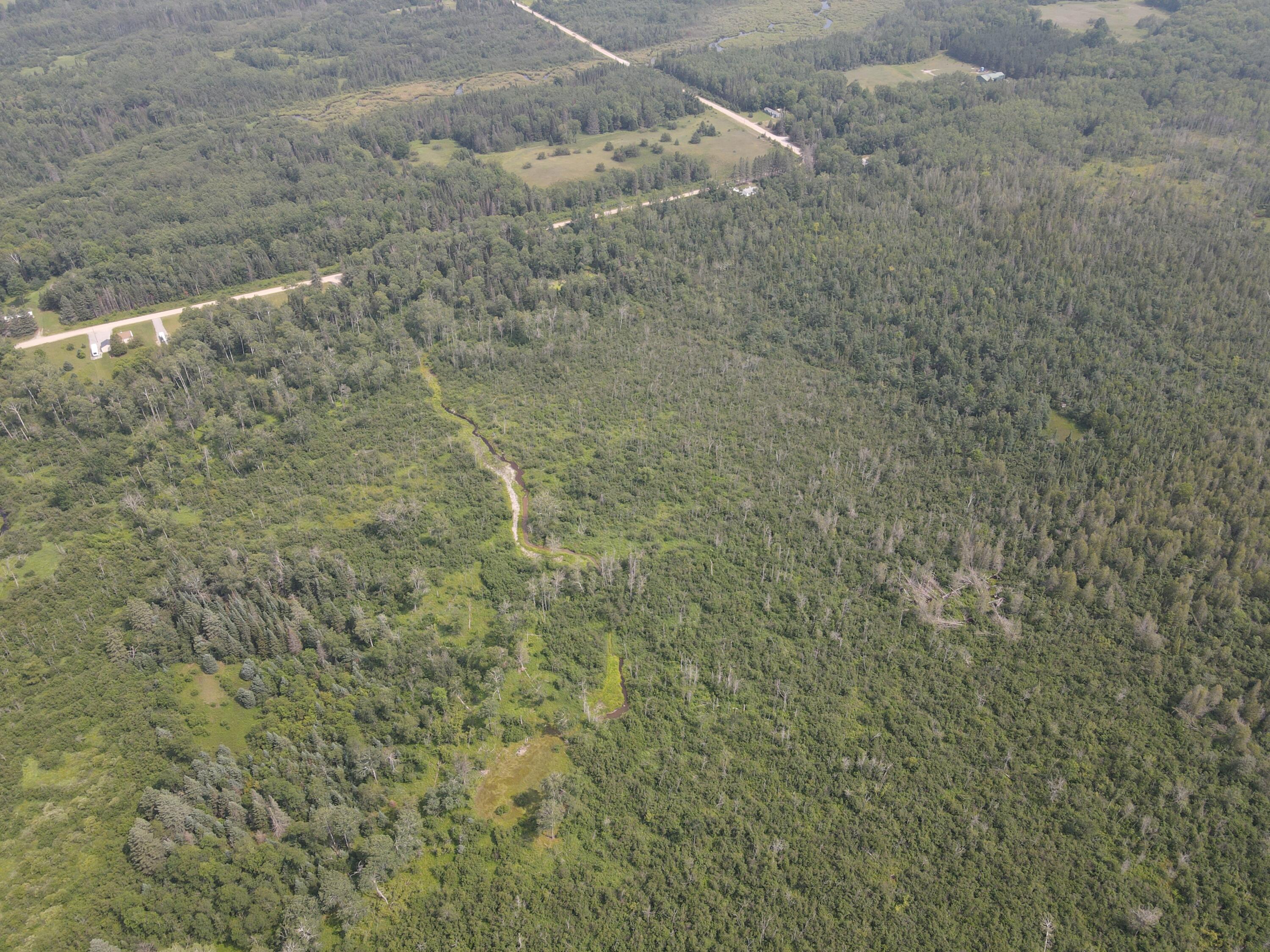 2503 Sharboneau Road Lincoln, MI 48742 - Photo 25 of 32 DJI_0807