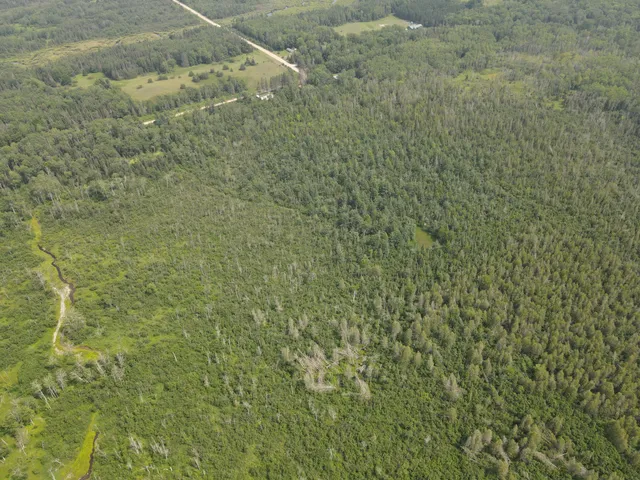 $170,000 | 2503 Sharboneau Road, Lincoln, MI 48742