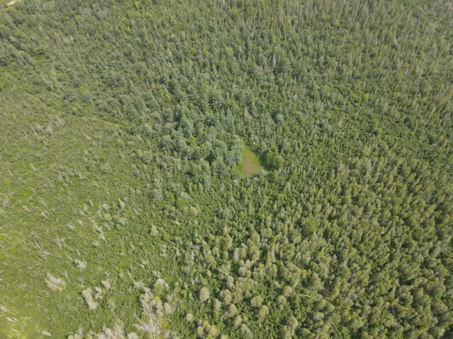 $170,000 | 2503 Sharboneau Road, Lincoln, MI 48742