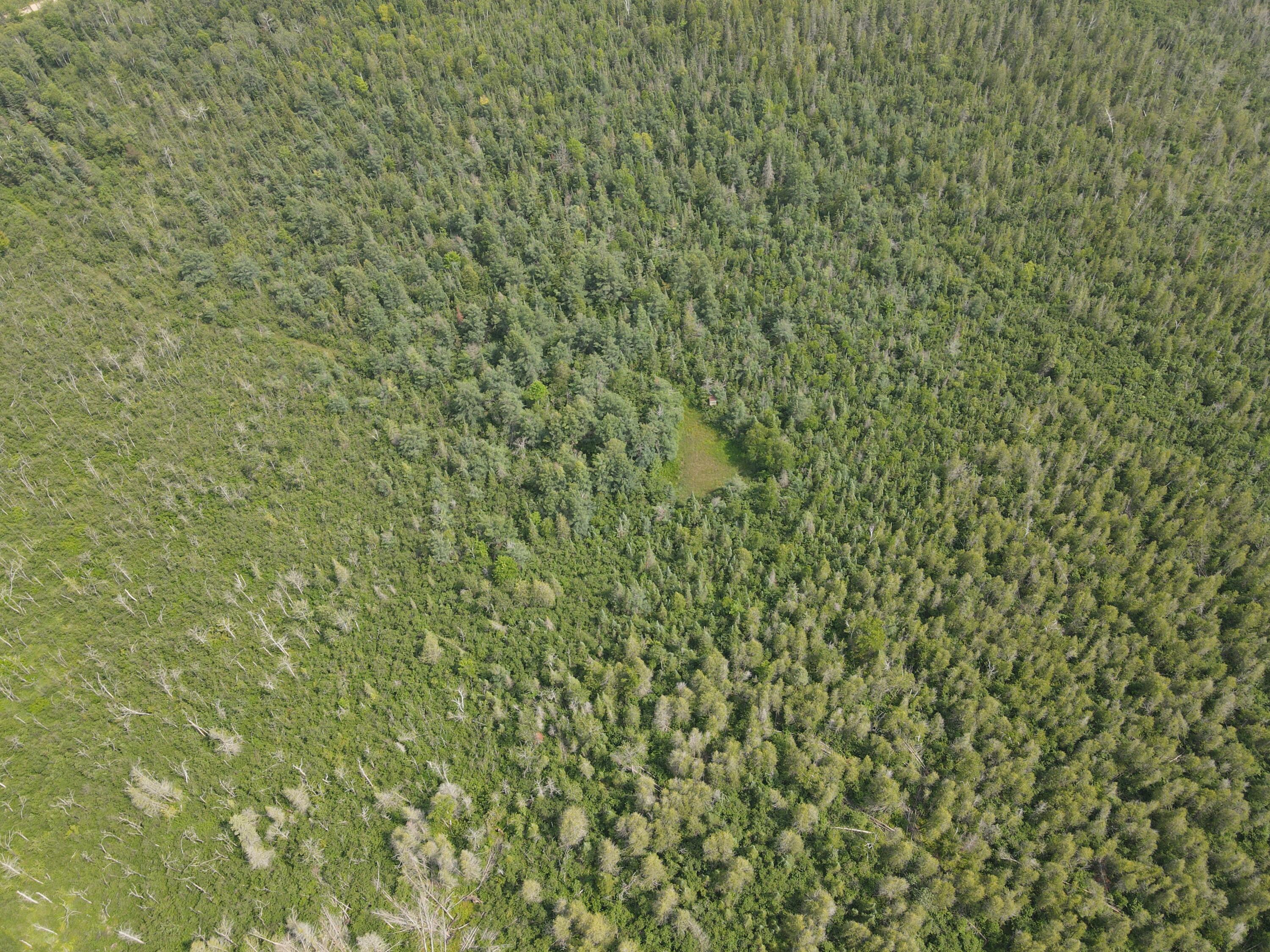 2503 Sharboneau Road Lincoln, MI 48742 - Photo 27 of 32 DJI_0809