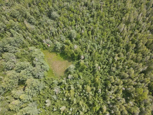 $170,000 | 2503 Sharboneau Road, Lincoln, MI 48742