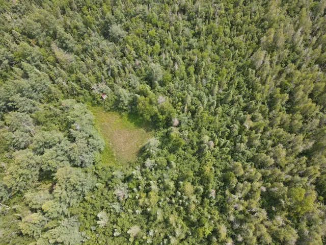 $170,000 | 2503 Sharboneau Road, Lincoln, MI 48742