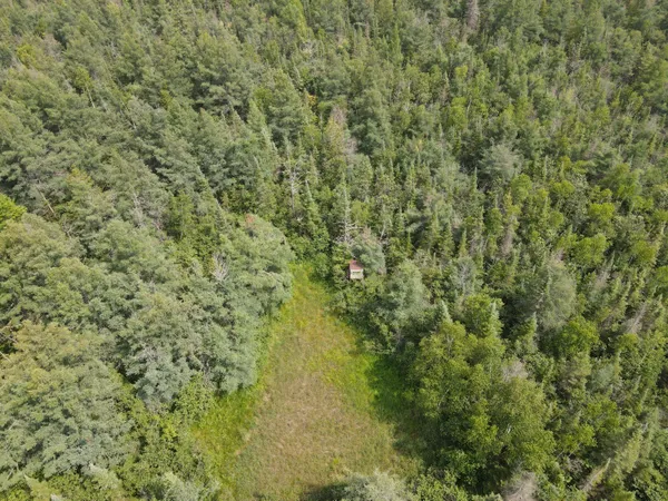 $170,000 | 2503 Sharboneau Road, Lincoln, MI 48742