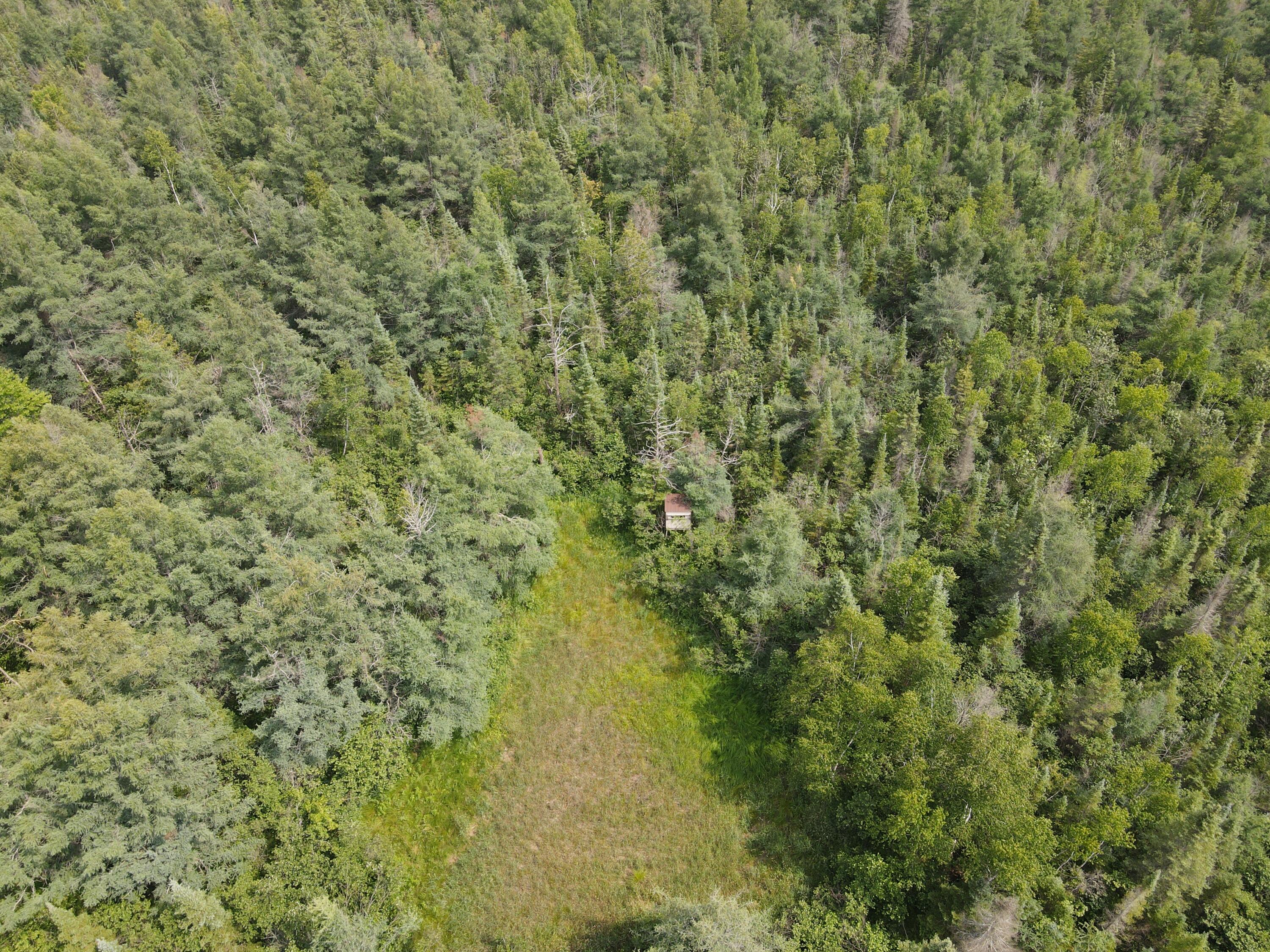 2503 Sharboneau Road Lincoln, MI 48742 - Photo 29 of 32 DJI_0811