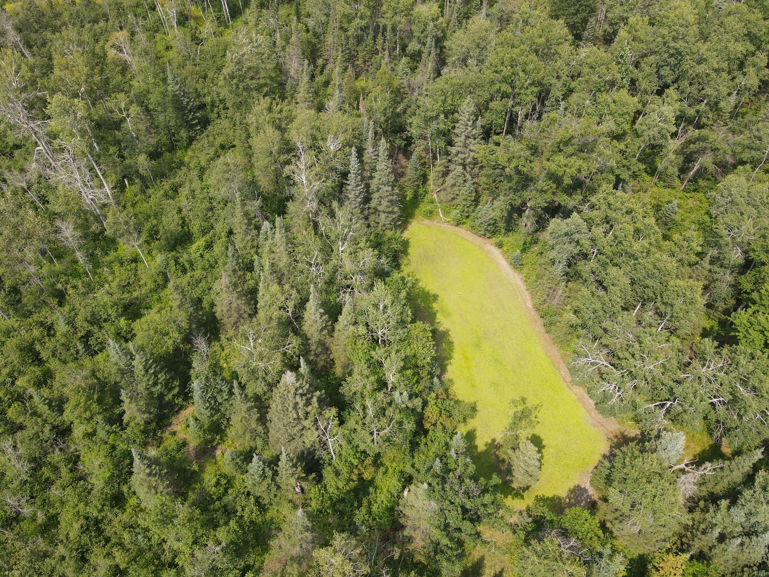 2503 Sharboneau Road Lincoln, MI 48742 - Photo 30 of 32 DJI_0816
