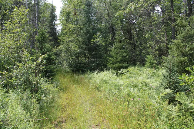 $170,000 | 2503 Sharboneau Road, Lincoln, MI 48742