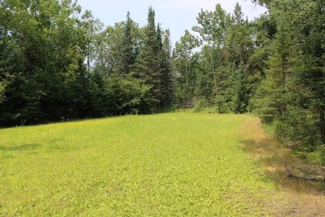 $170,000 | 2503 Sharboneau Road, Lincoln, MI 48742