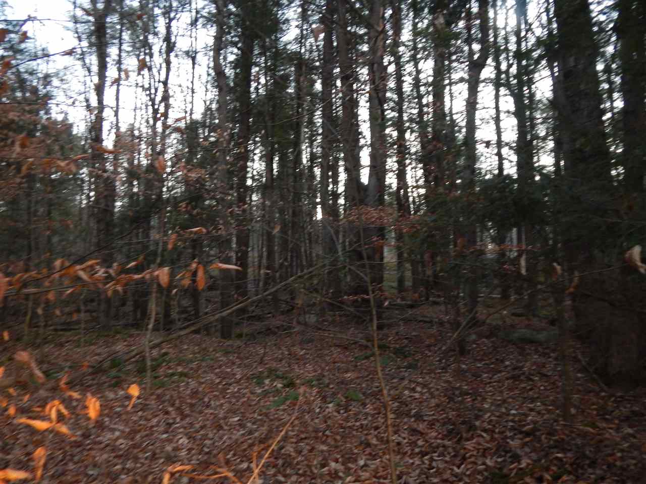 0 Edgewood Road Springfield, VT 05156 - Photo 5 of 6