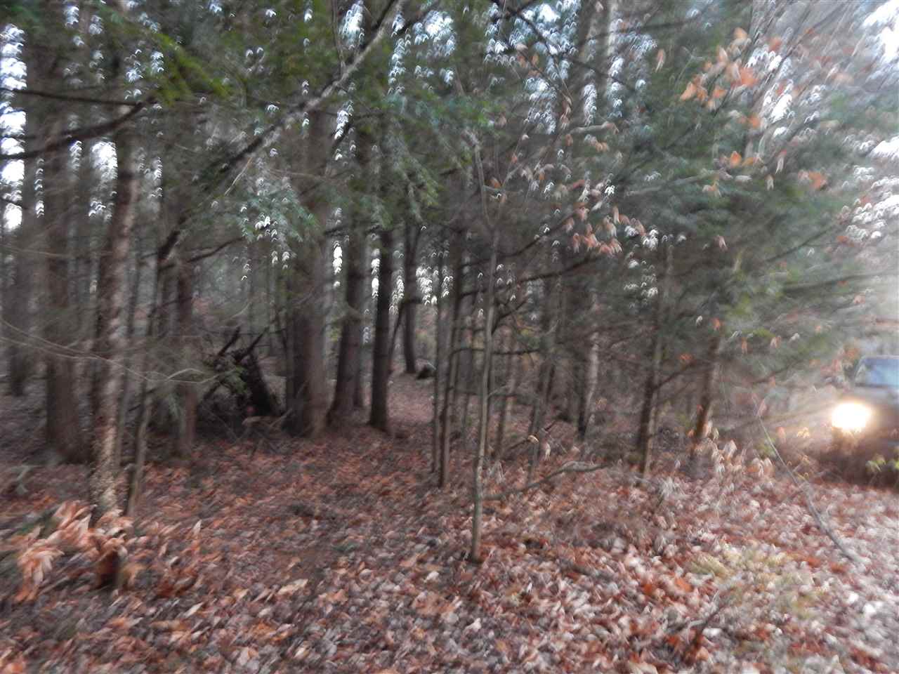 0 Edgewood Road Springfield, VT 05156 - Photo 6 of 6