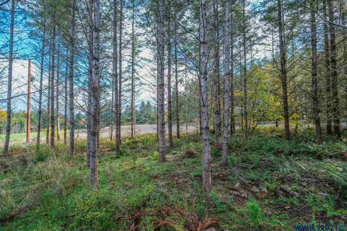 Meridian (ta 392239) Road Lebanon, OR 97355 - Photo 21 of 32