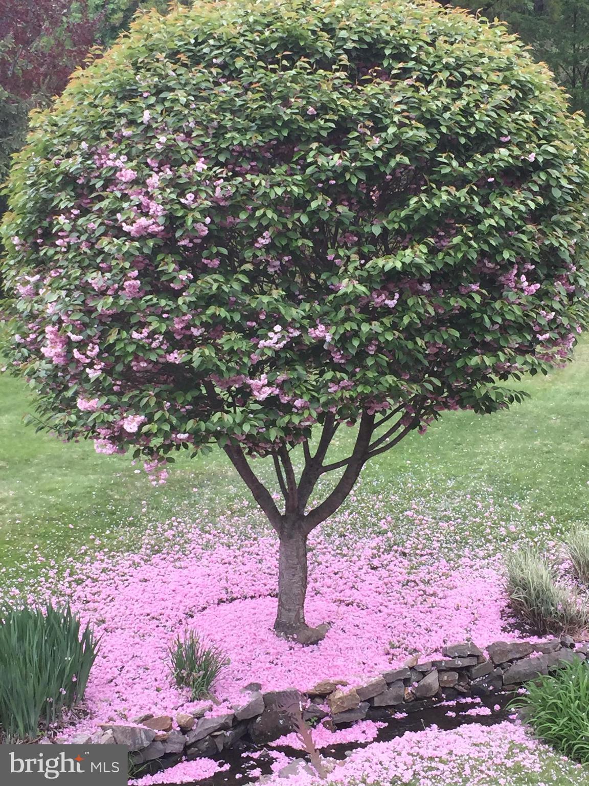 460 King Of Prussia Road Radnor, PA 19087 - Photo 43 of 47