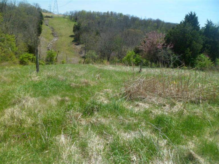 3343 Lick Hill Road California, KY 41007 - Photo 12 of 22 Gallery Image 12