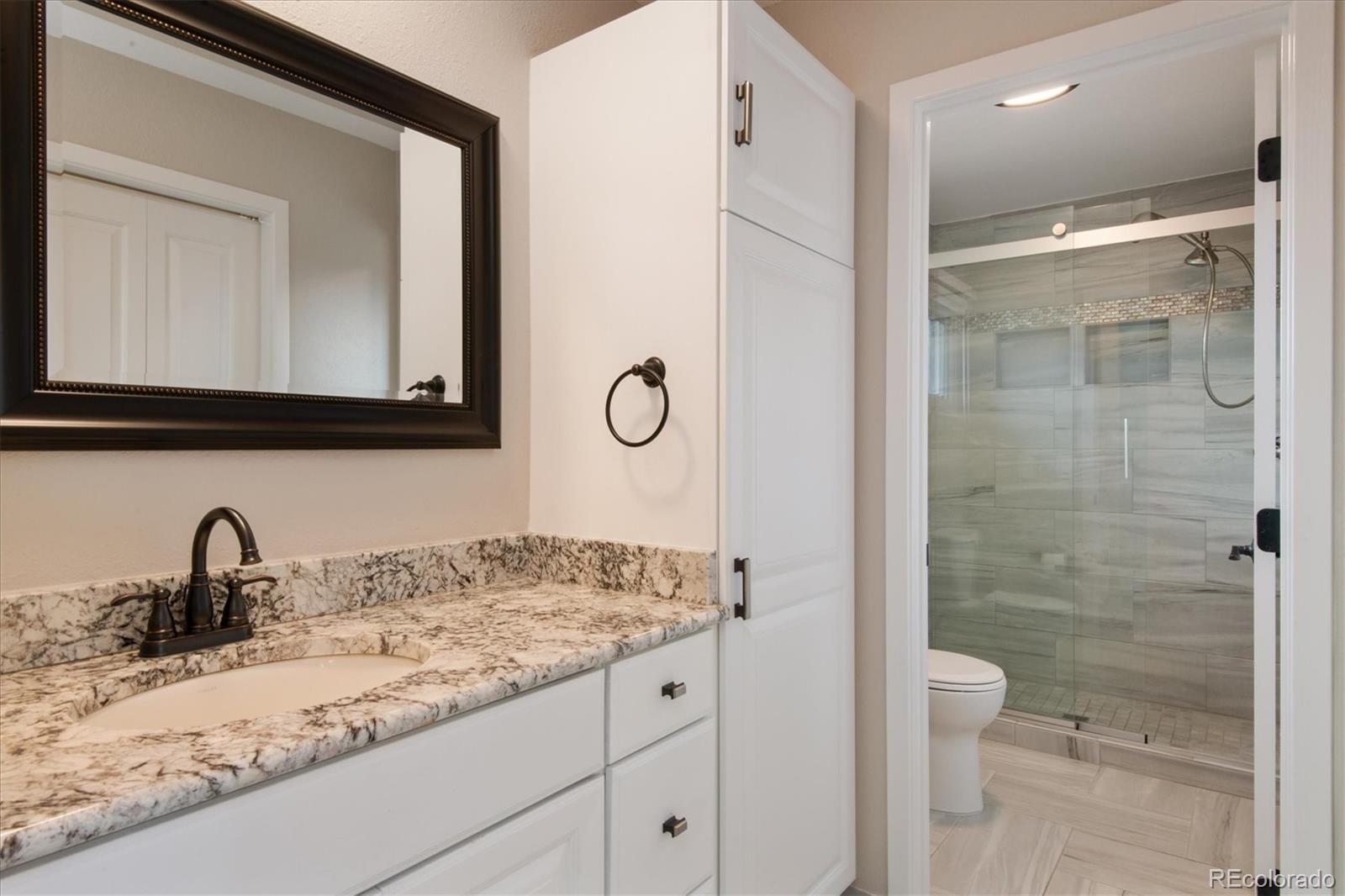 488 Vienna Drive Parker, CO 80138 - Photo 20 of 38