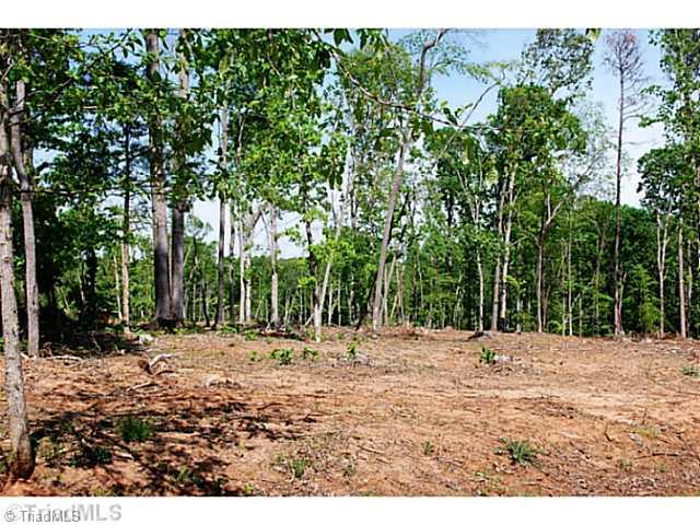 4291 River Ridge Road Pfafftown, NC 27040 - Photo 16 of 16 Remarks. Additional land behind yard that is part of 5.76 Acres