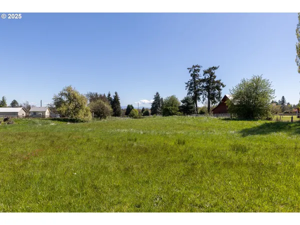 a backyard of a house with lots of green space