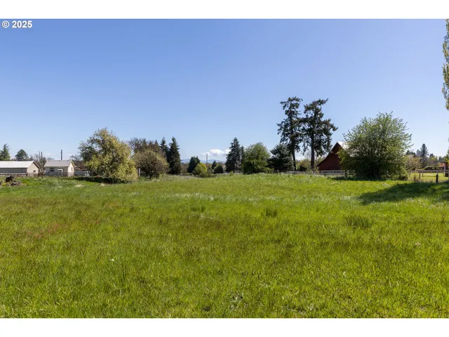 a backyard of a house with lots of green space