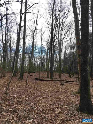 $622,250 | 503 Garden Lane, Palmyra, VA 22963