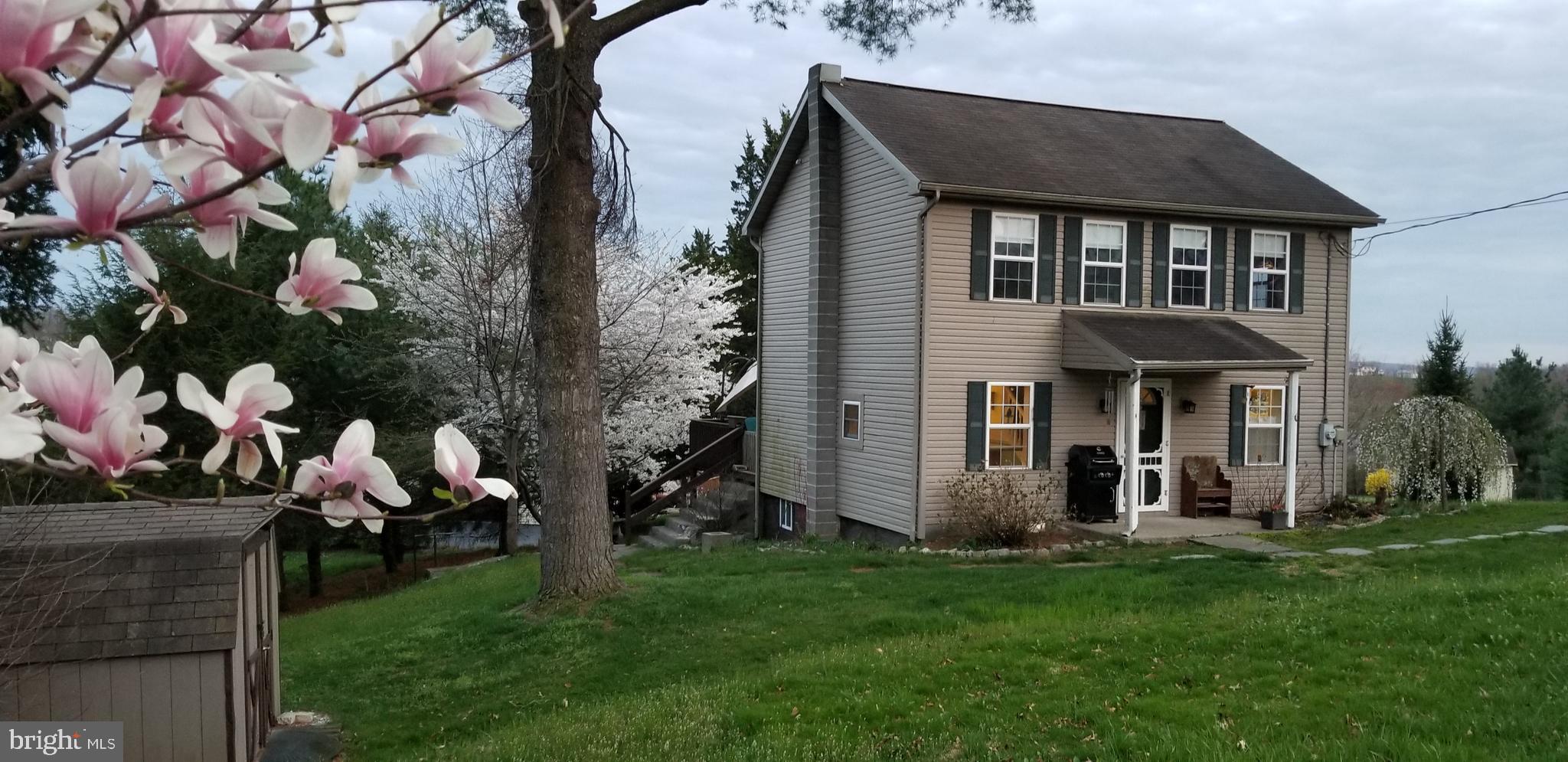 438 Rutts Road Elizabethtown, PA 17022 - Photo 3 of 34 Mature Flowering Trees and Shed