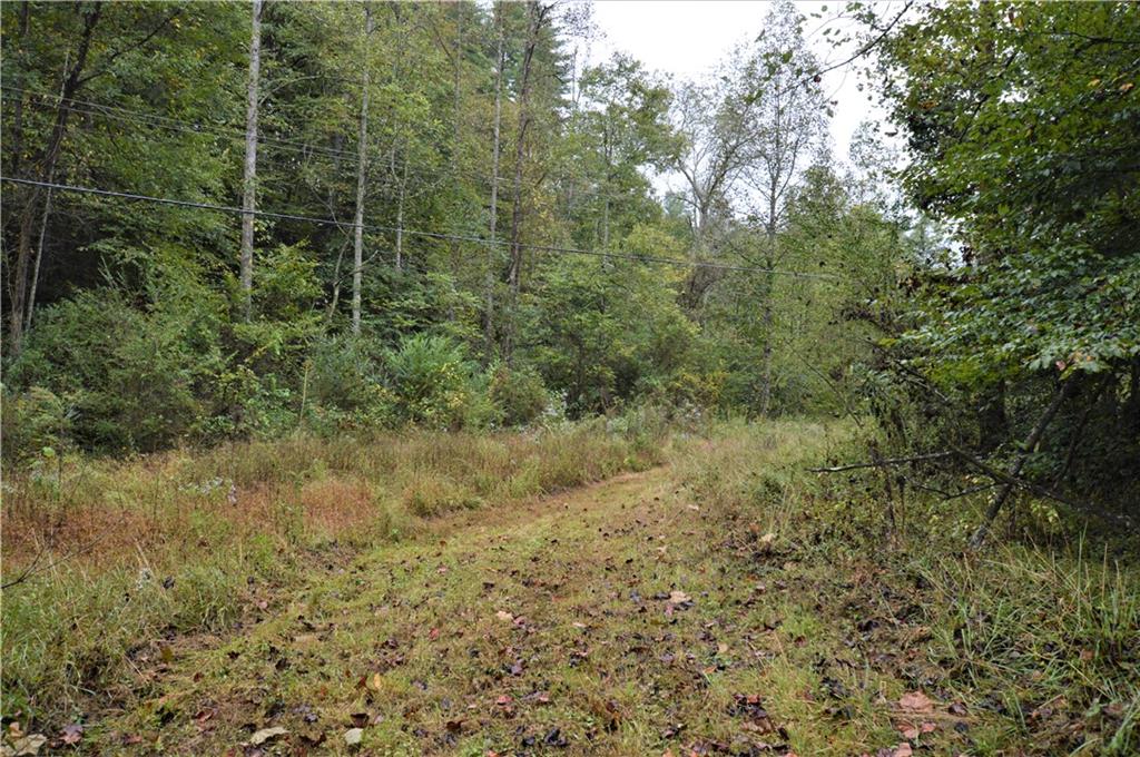 2619 Setzer Creek Road Lenoir, NC 28645 - Photo 28 of 30 Gallery Image 28