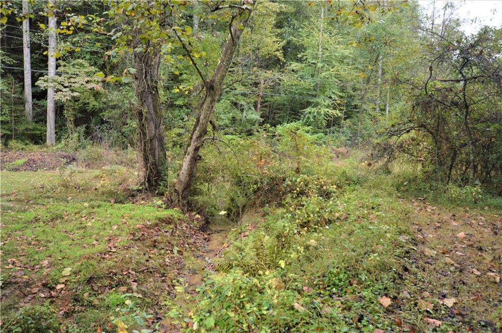 2619 Setzer Creek Road Lenoir, NC 28645 - Photo 29 of 30 Gallery Image 29