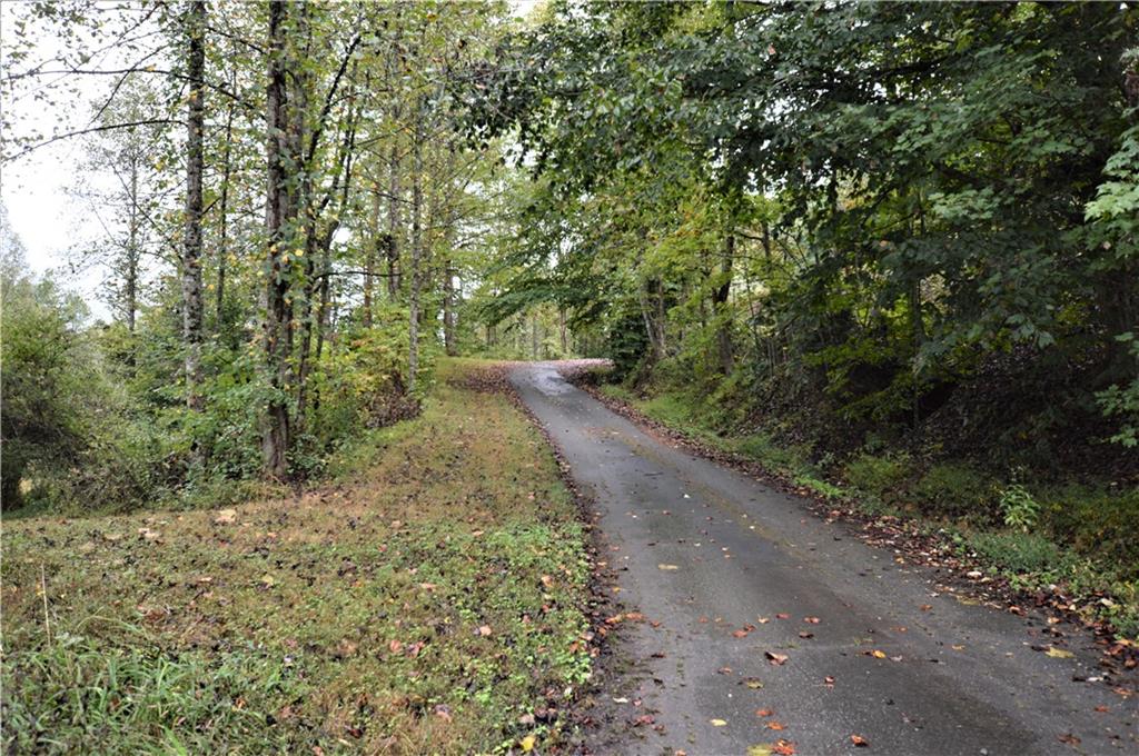 2619 Setzer Creek Road Lenoir, NC 28645 - Photo 7 of 30 Gallery Image 7