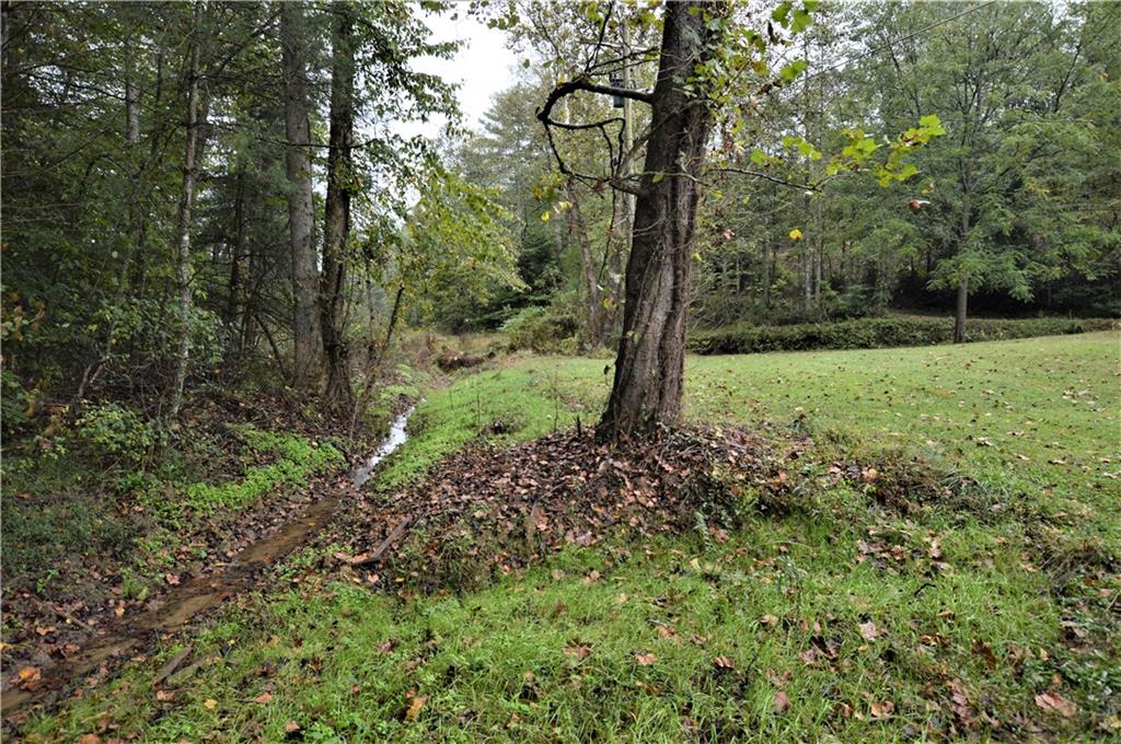 2619 Setzer Creek Road Lenoir, NC 28645 - Photo 8 of 30 Gallery Image 8