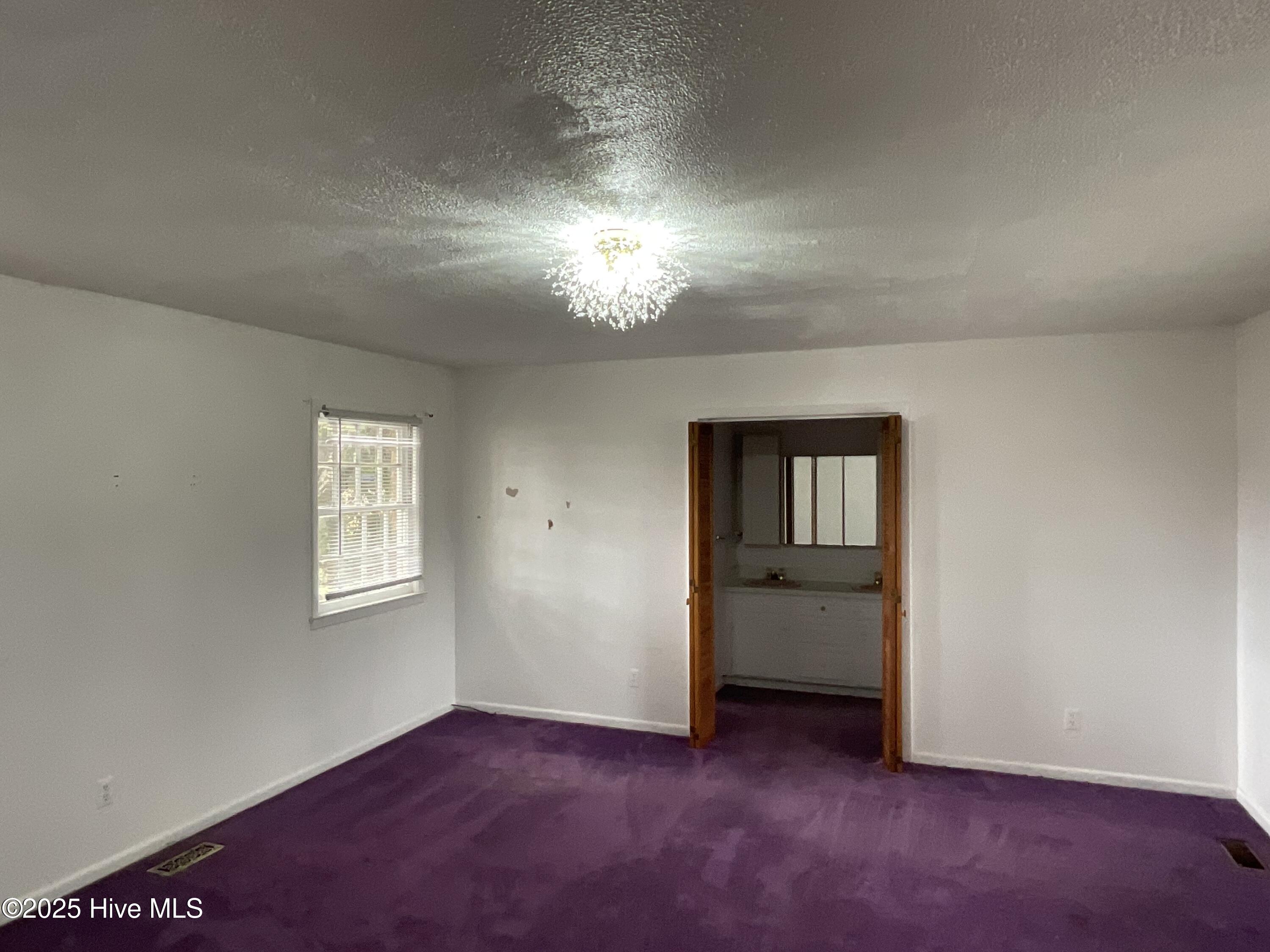 336 Wellstown Road Rose Hill, NC 28458 - Photo 21 of 38 IMG_2292 (1)