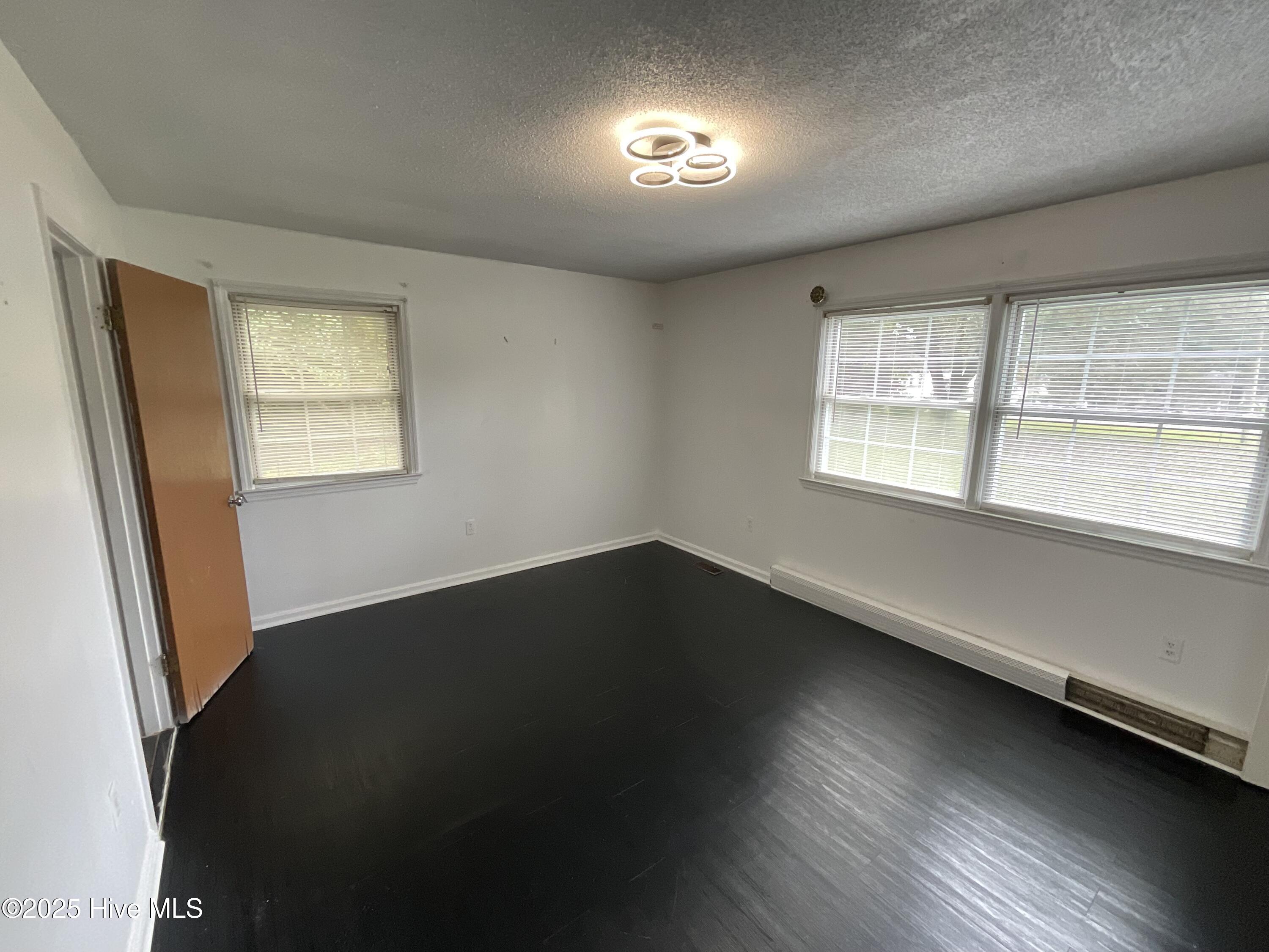 336 Wellstown Road Rose Hill, NC 28458 - Photo 5 of 38 IMG_2280 (1)