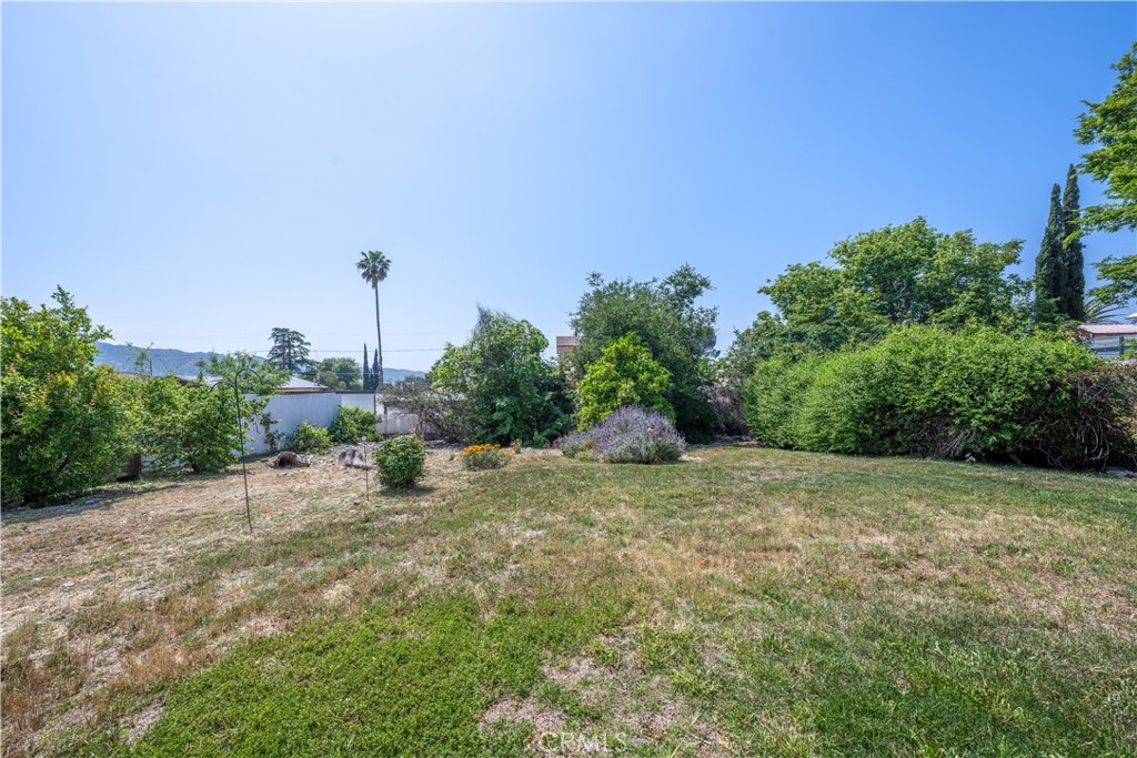 10343 Helendale Avenue Tujunga, CA 91042 - Photo 28 of 30 a view of a dry yard with lots of green space