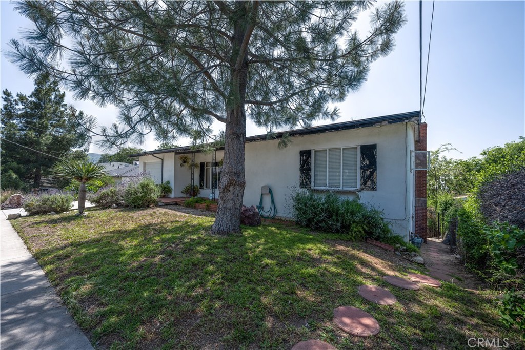 10343 Helendale Avenue Tujunga, CA 91042 - Photo 3 of 30 a backyard of a house with plants and large tree