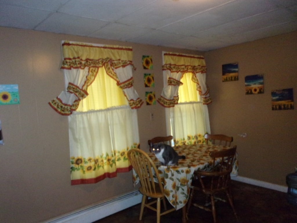 18-20 Conduit Street Lawrence, MA 01841 - Photo 5 of 23 a view of a dining room with furniture and a window